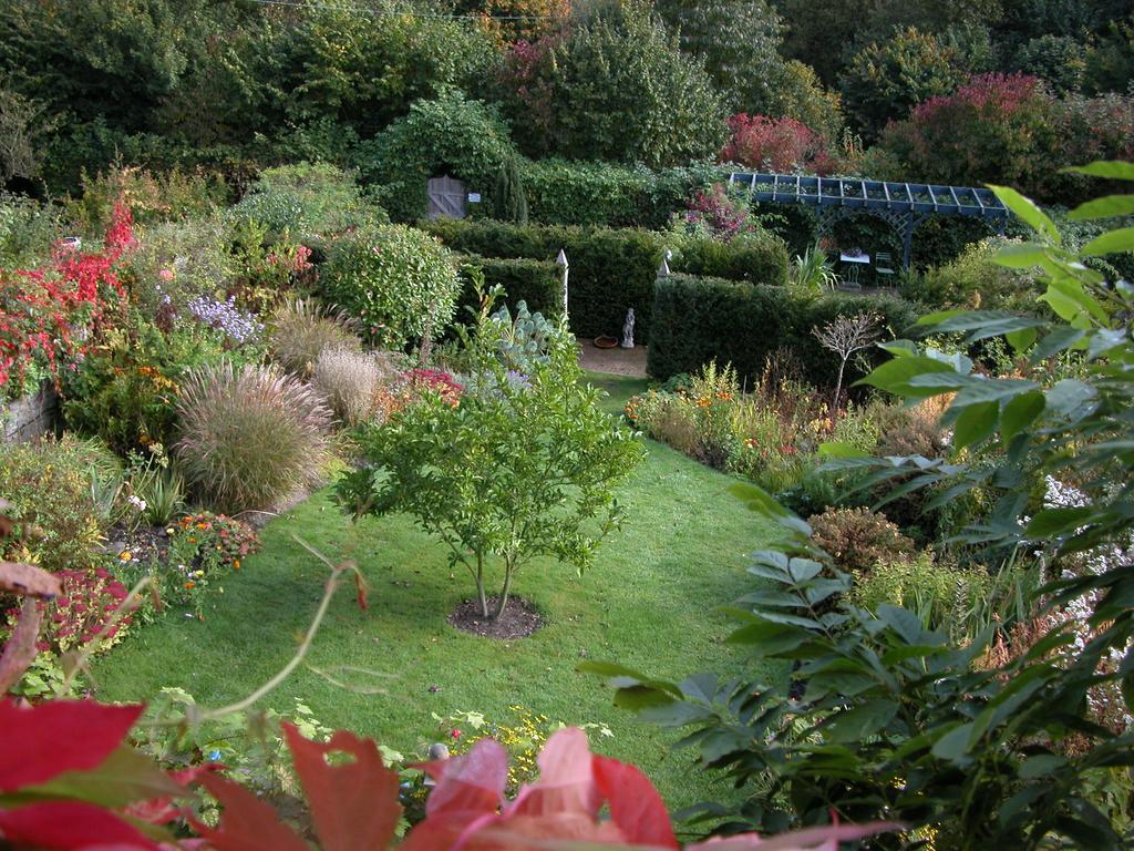 Milebrook House Bed and Breakfast Knighton  Habitación foto